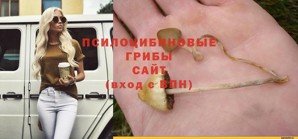 дживик Балабаново